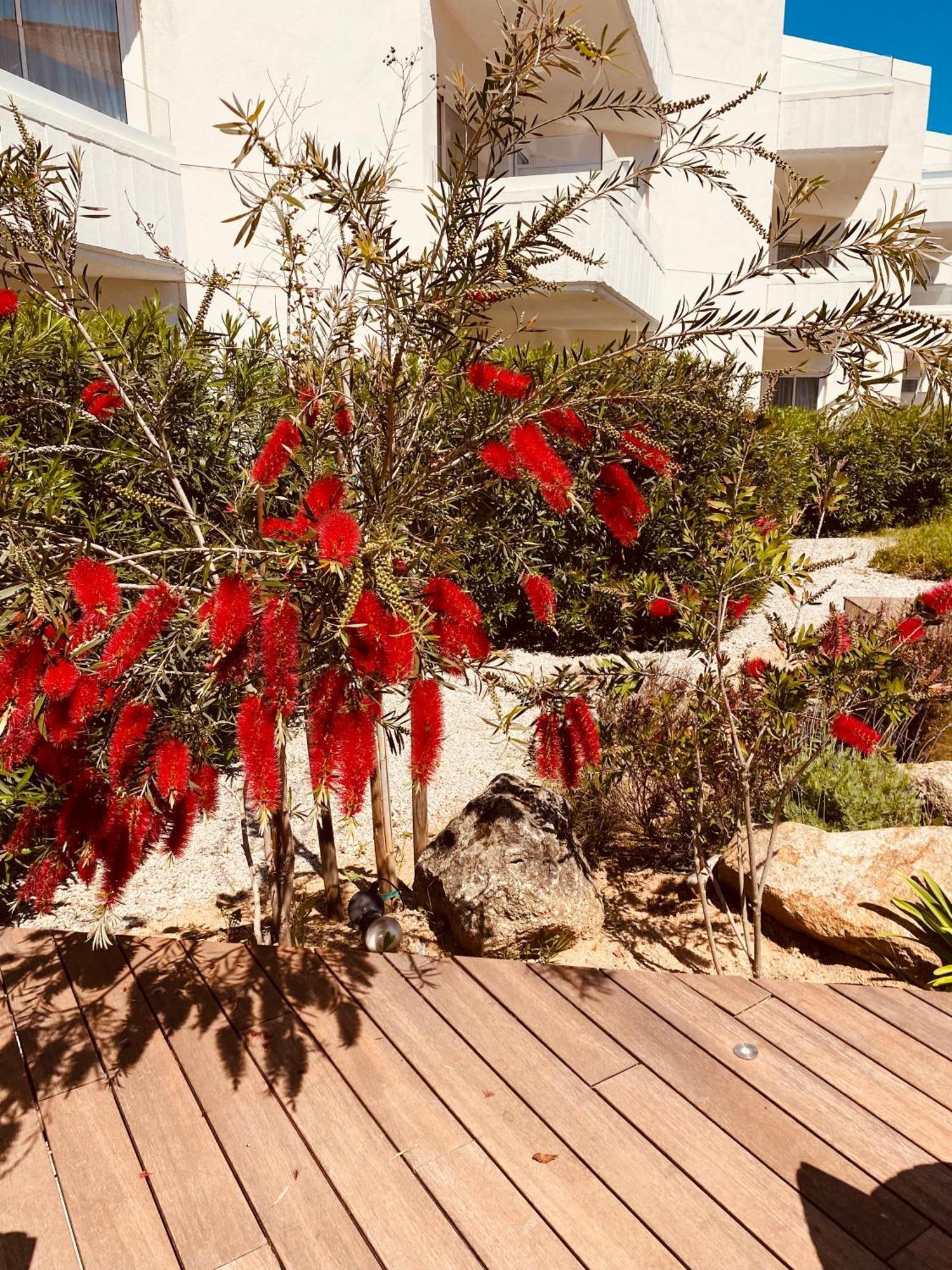 Calvi Hotel Luaran gambar